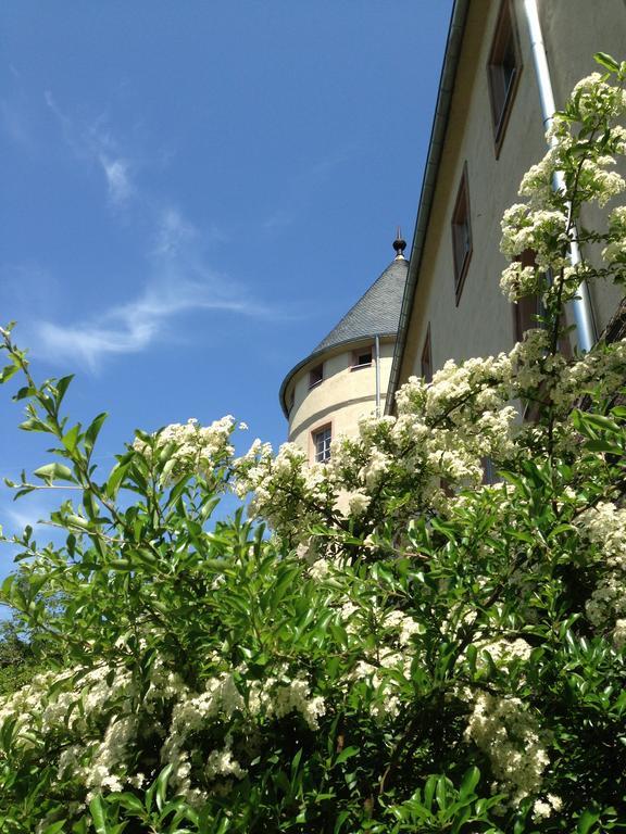 Ev.Familienferien-Und Bildungsstaette Ebernburg Hotel Bad Münster am Stein-Ebernburg Eksteriør billede