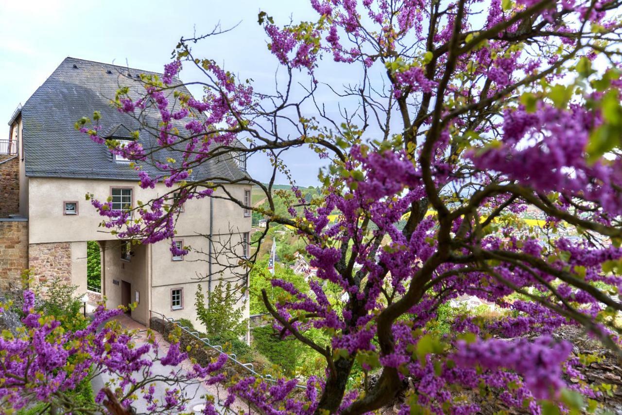 Ev.Familienferien-Und Bildungsstaette Ebernburg Hotel Bad Münster am Stein-Ebernburg Eksteriør billede